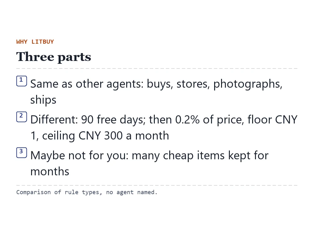Three-part card: what all agents do, what is different about LitBuy storage, when a flat-fee storage rule elsewhere could suit better