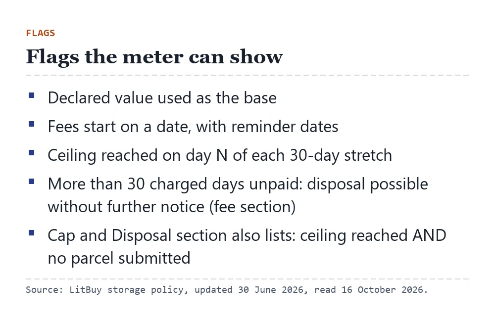 Four flag types the meter can show on a line, with the disposal flag quoting both of LitBuy's disposal sentences